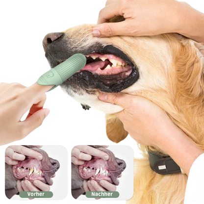 PetSmile – Silikonbürste für sanfte Tierzahnpflege