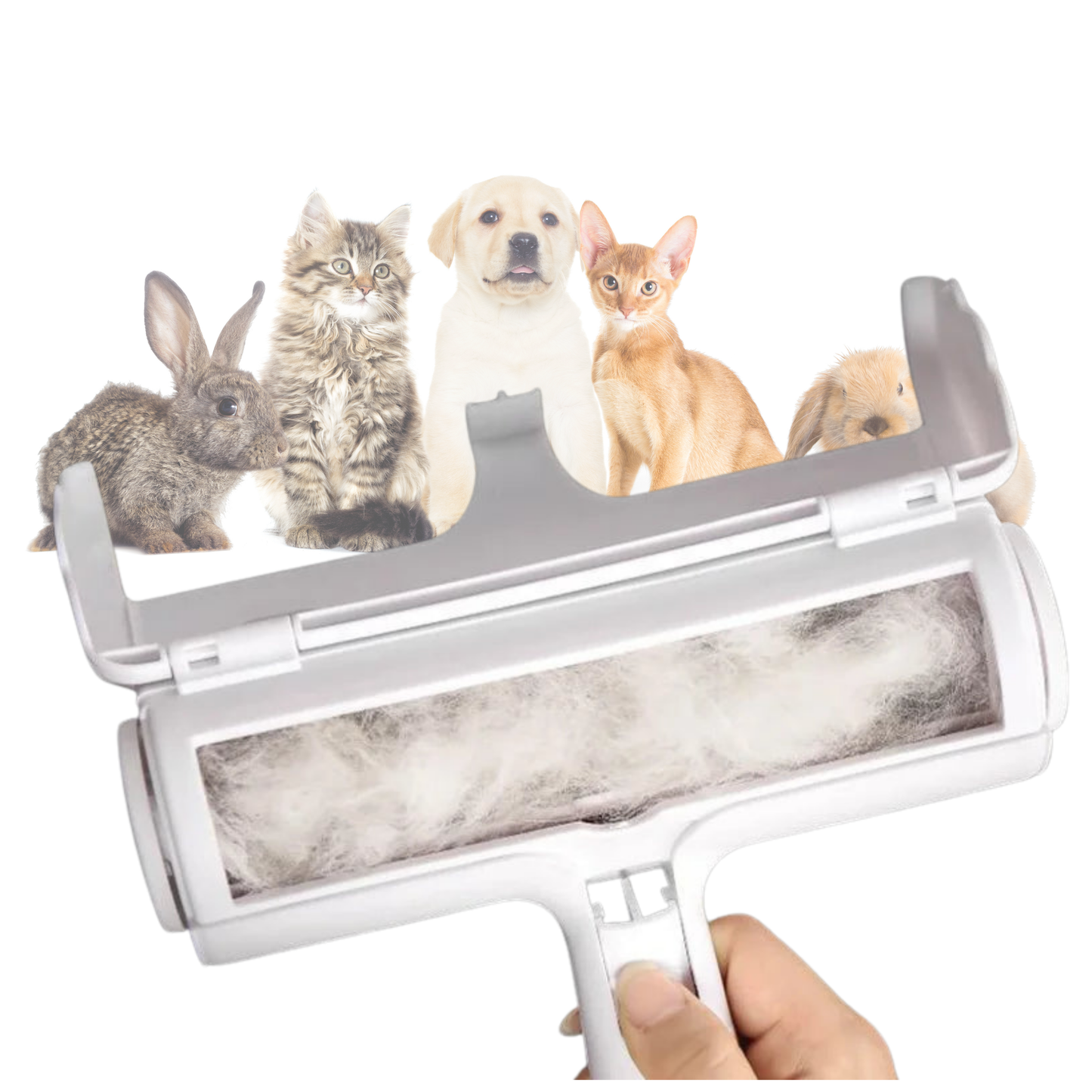 FurAway – Die clevere Tierhaarrolle für ein sauberes Zuhause