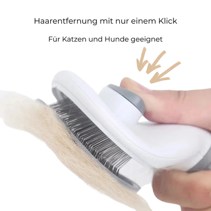 PurrBrush – Selbstreinigender Kamm für Hunde und Katzen