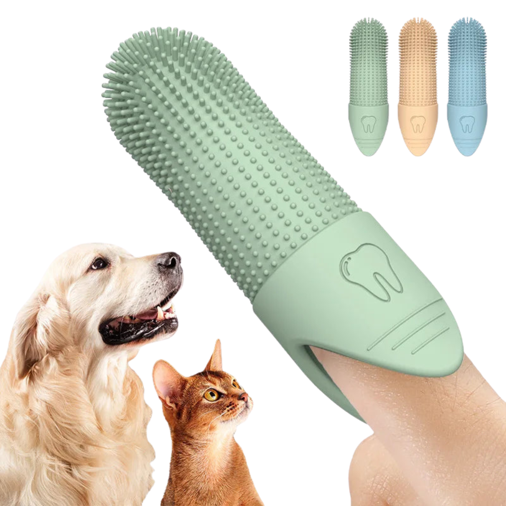 PetSmile – Silikonbürste für sanfte Tierzahnpflege